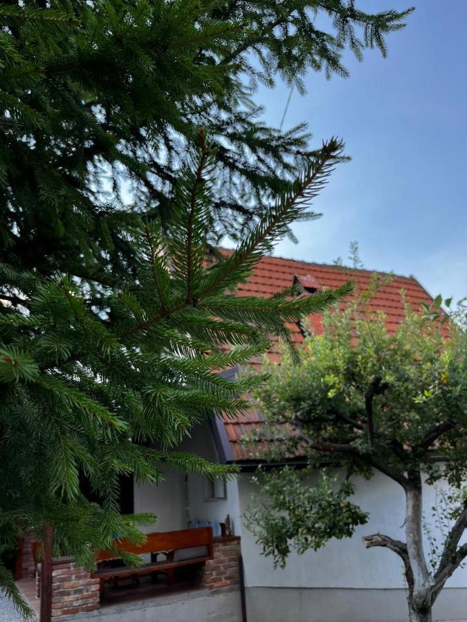 Holiday Home Amila 비소코 외부 사진