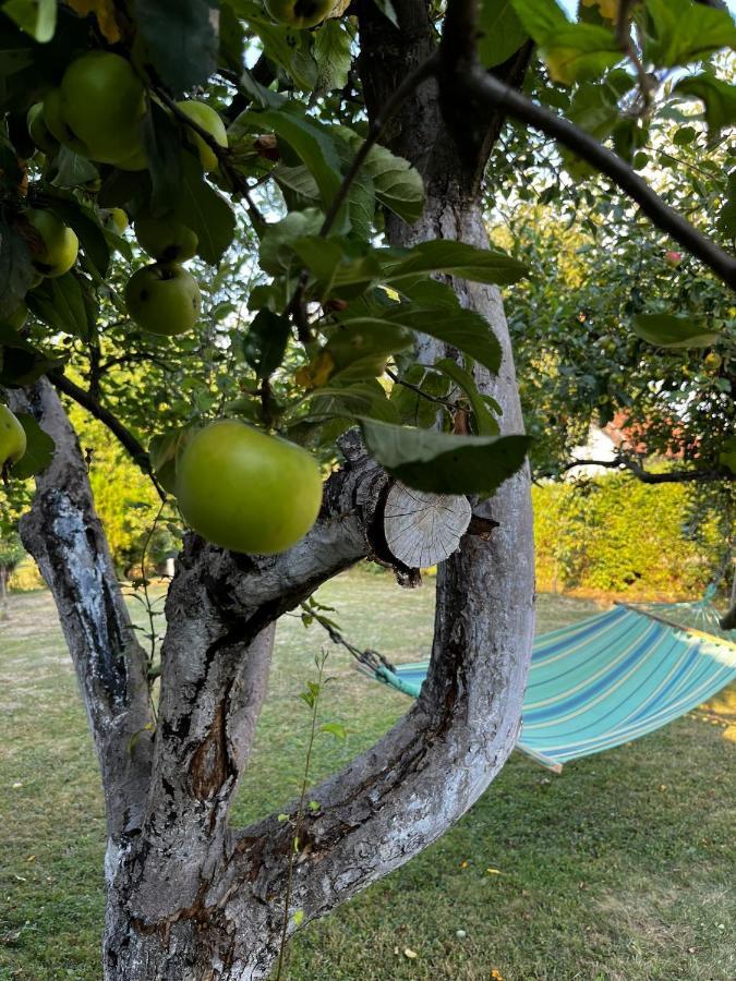Holiday Home Amila 비소코 외부 사진